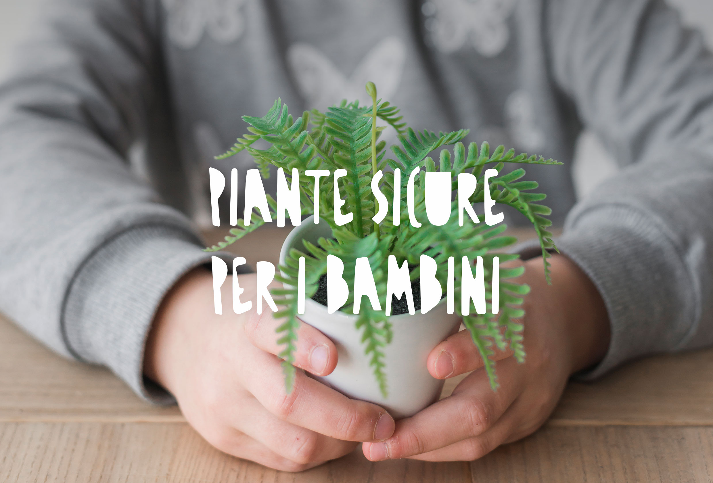 Bambino che tiene una piantina in mano